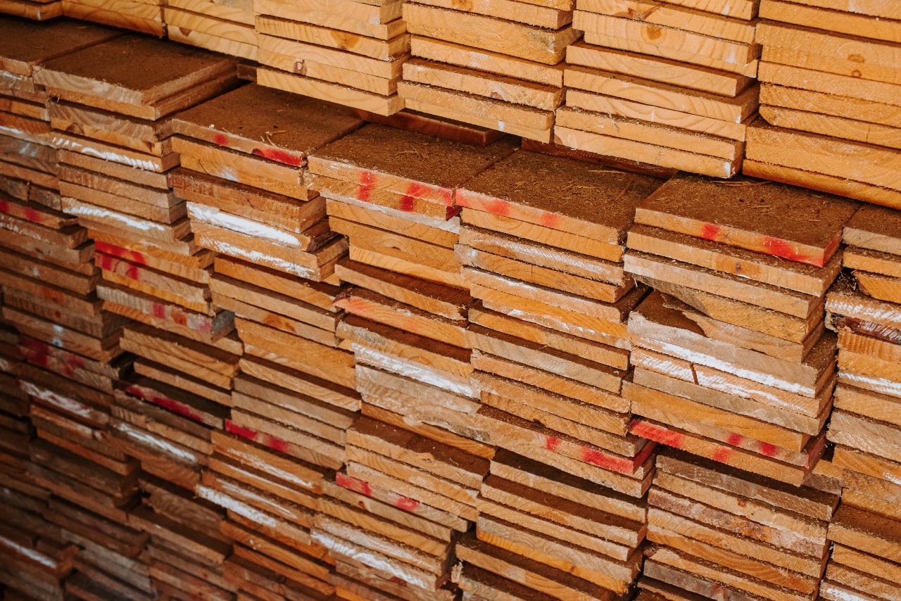 Madeira De Reflorestamento